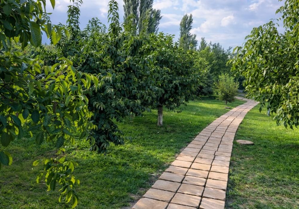 Stone brick path winds through a lush garden with fruit trees under a blue, partly cloudy sky.
